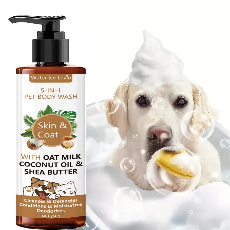 Coconut Oil For Dogs - image 1