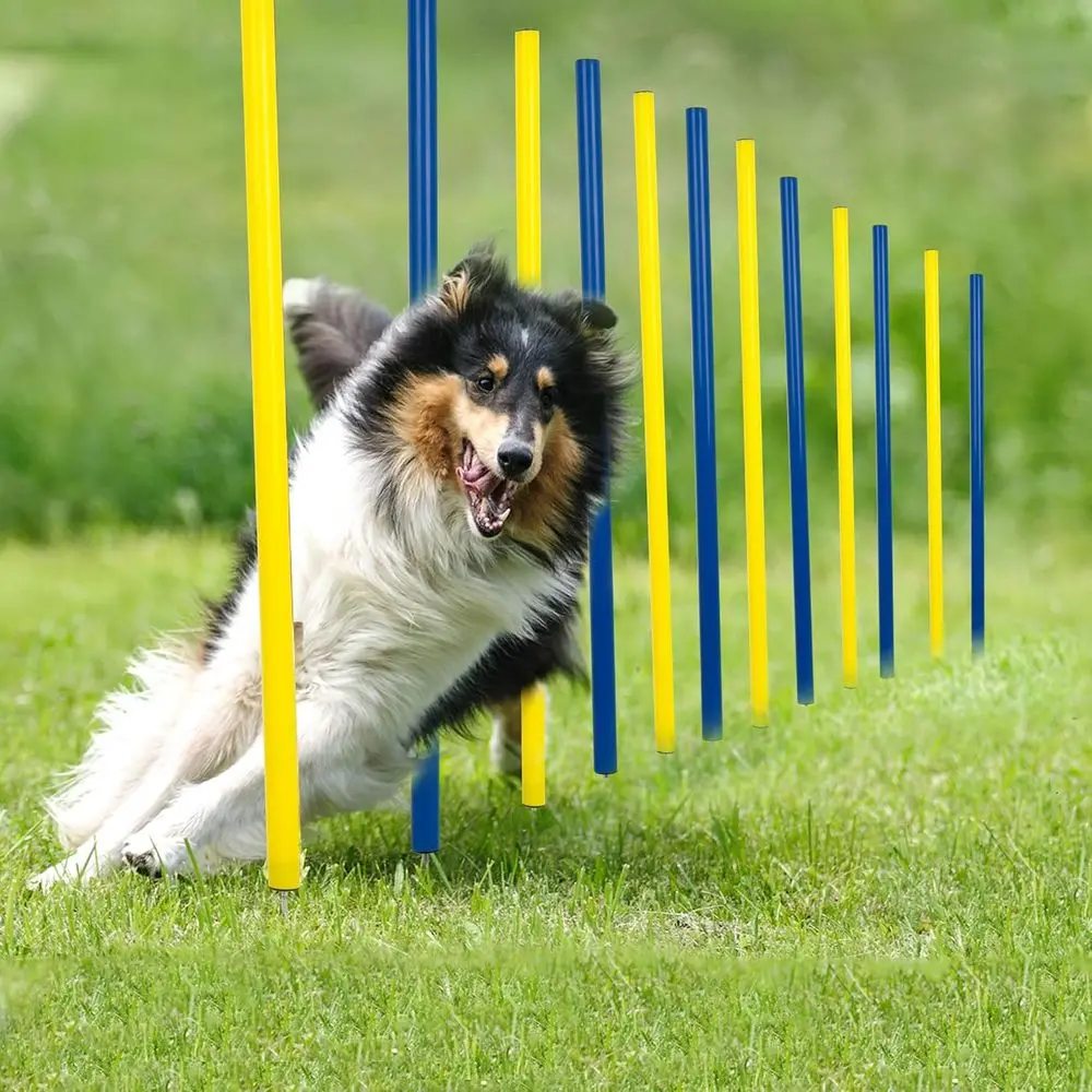Dog Agility Weave Poles - image 1