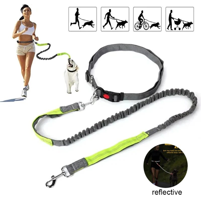 Hands-Free Running Leash - image 1