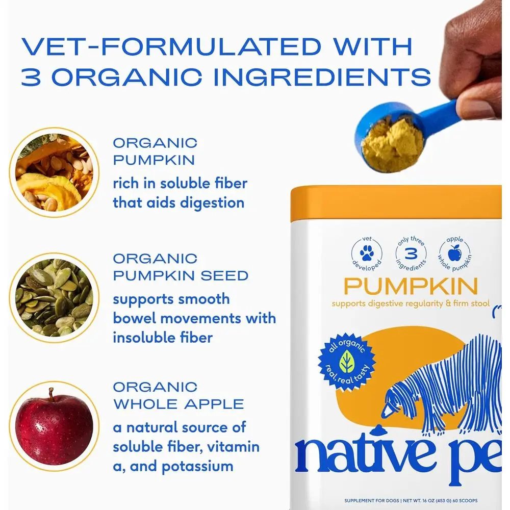 Pumpkin Fiber Powder - image 3