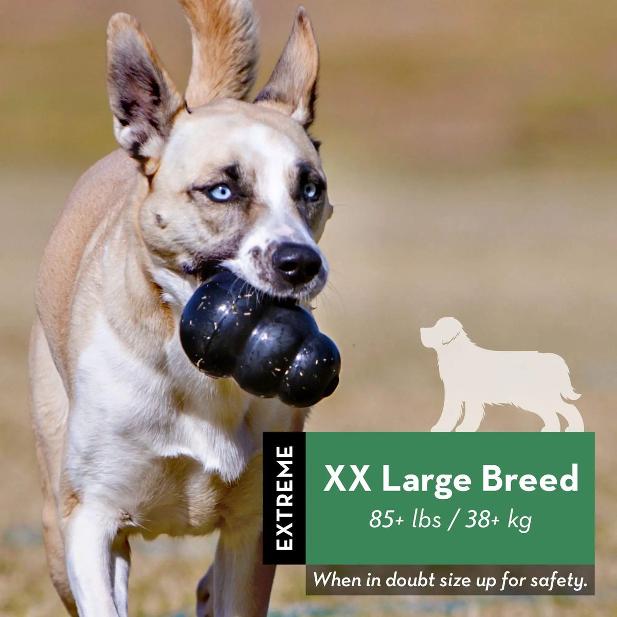 Rubber Kong Chew Toy - image 2