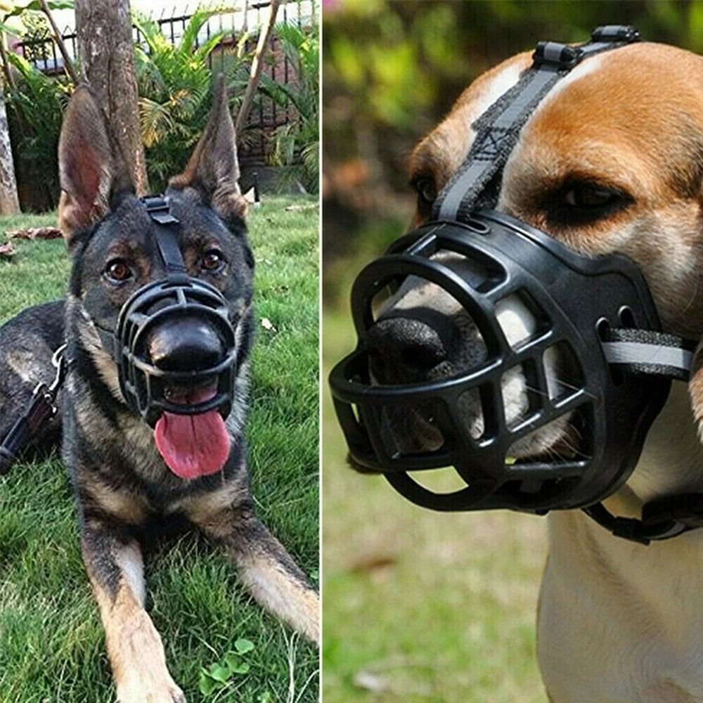 Muzzle Intro Kit - image 2