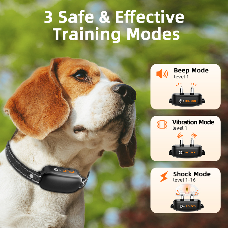 Training Collar - image 2