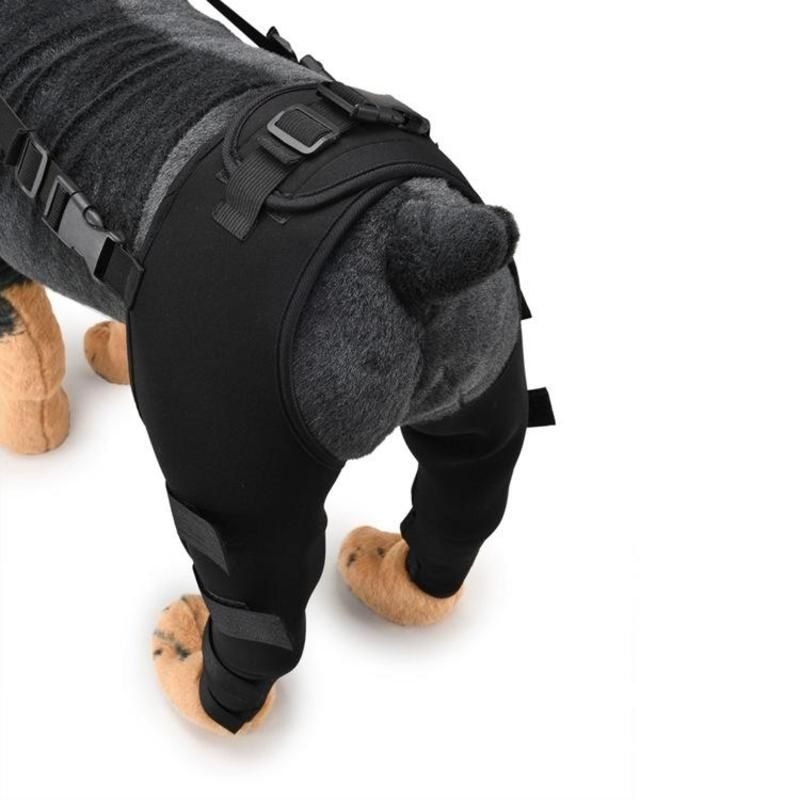 Adjustable Dog Rear Leg Brace  -  Injury & Recovery Support - image 5