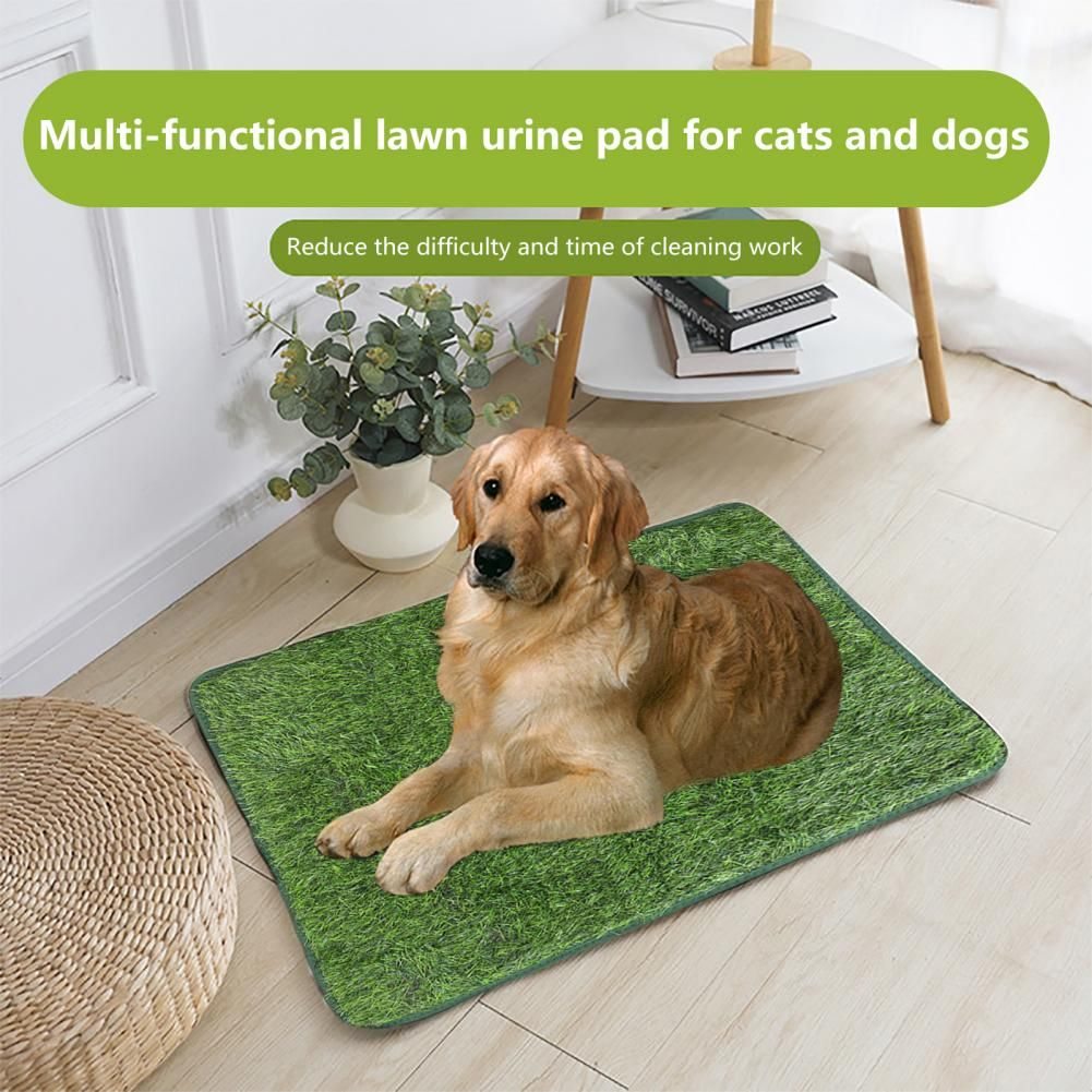 Artificial Grass Pee Mat  -  Reusable Odor-Free Training Pad - image 1