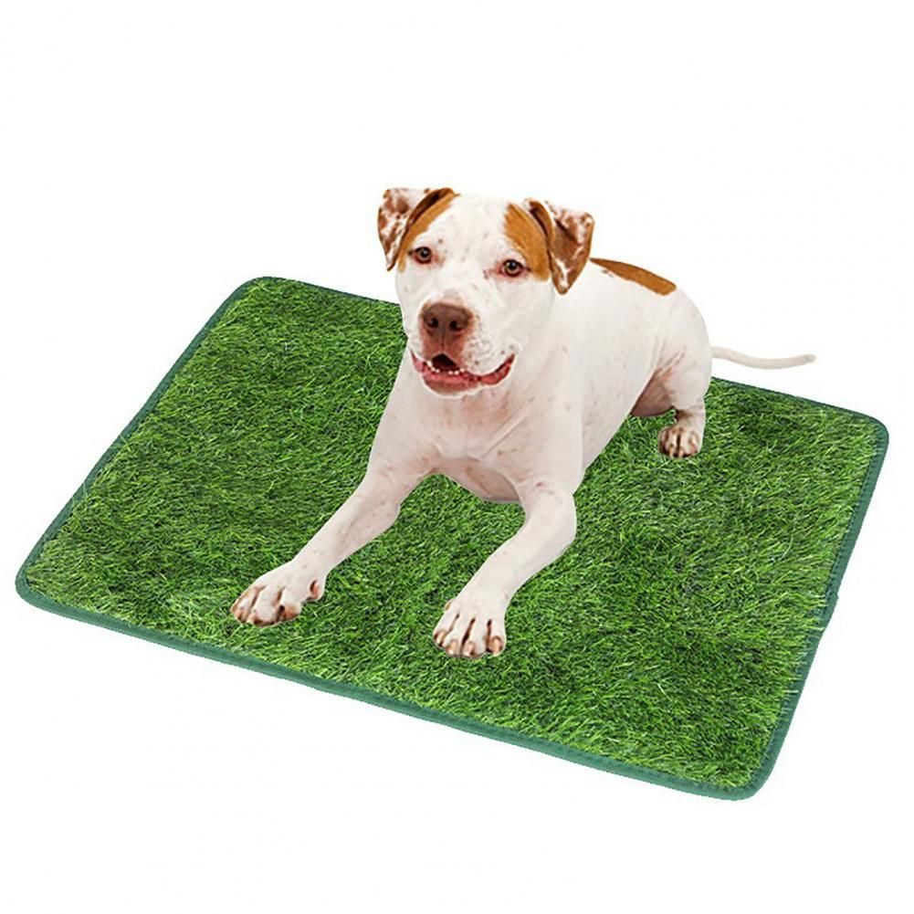 Artificial Grass Pee Mat  -  Reusable Odor-Free Training Pad - image 4