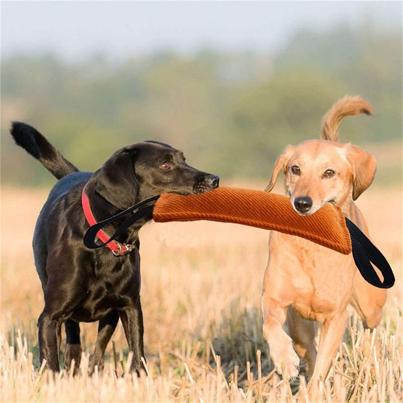 Durable Dog Bite Stick Tug Toy  -  Non-Slip Training Sleeve - image 2