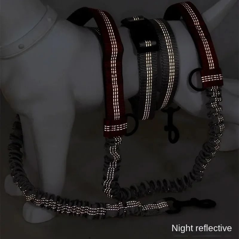 Hands-Free Dog Running Belt Leash  -  Adjustable Waist Strap - image 2