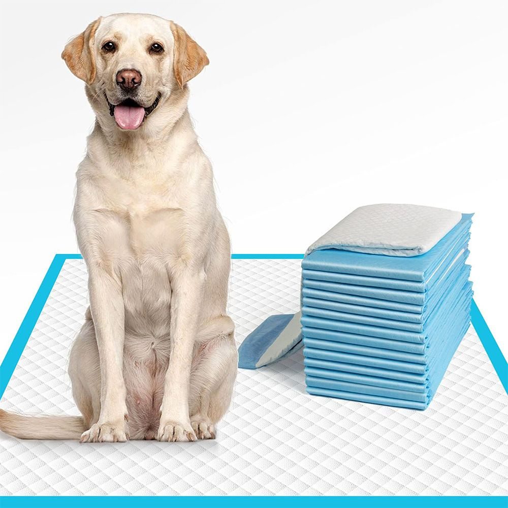 Puppy Pee Pads 40-Pack  -  Super Absorbent Training Pads - image 3