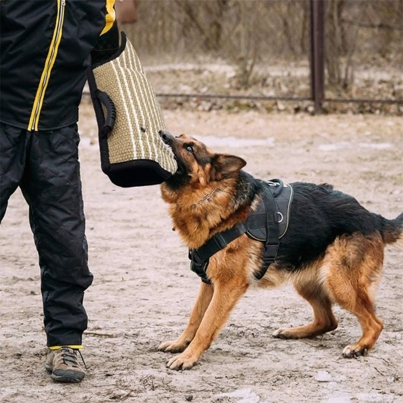 Strong Jute Dog Bite Sleeve Tug  -  K9 Training Glove - image 2
