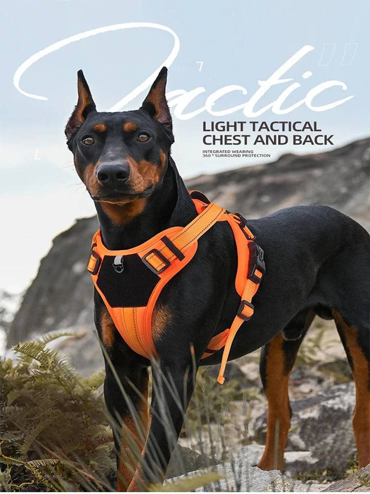 Tactical Reflective Dog Harness Vest  -  Handle & Explosion-Proof - image 1