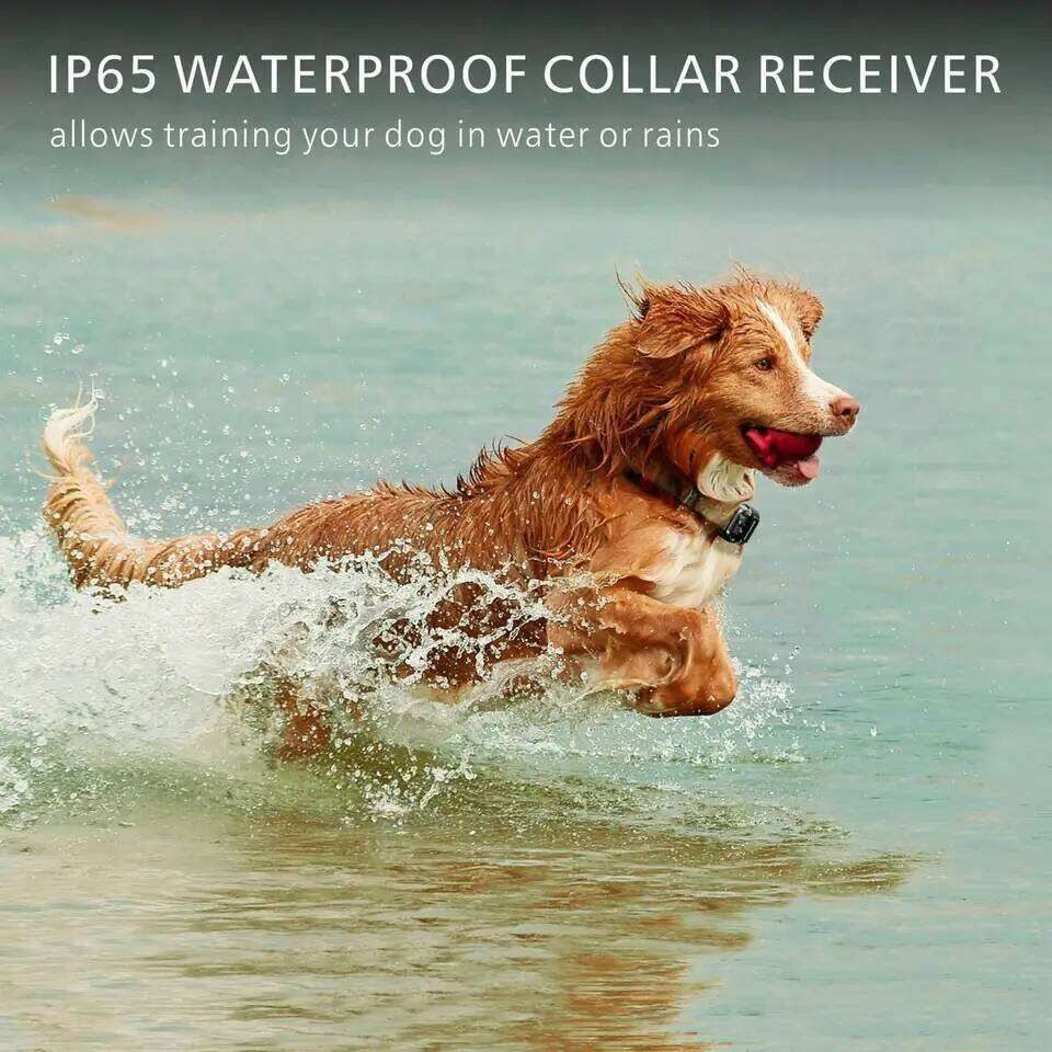 Waterproof Remote Training E-Collar  -  Bark & Obedience - image 4